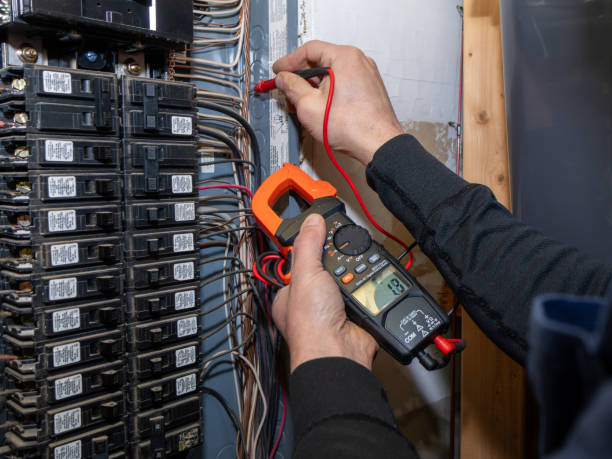 Best Home Electrical Repair  in Carrier Mls, IL